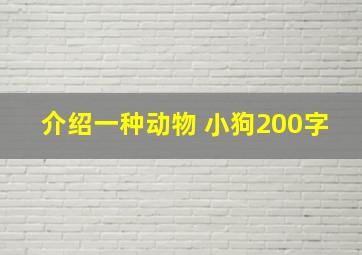 介绍一种动物 小狗200字